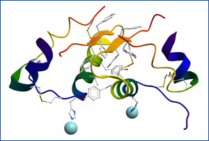 Hormonerkrankung, Schilddr&uuml;senerkrankung Behandlung Diagnostik F&uuml;rth - N&uuml;rnberg, Schilddr&uuml;senentz&uuml;ndung -Hormonerkrankung