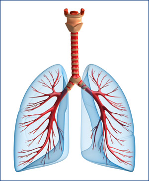 Заболевания дыхательных путей, Врачебная практика к. м. н. Михаэля Моцны